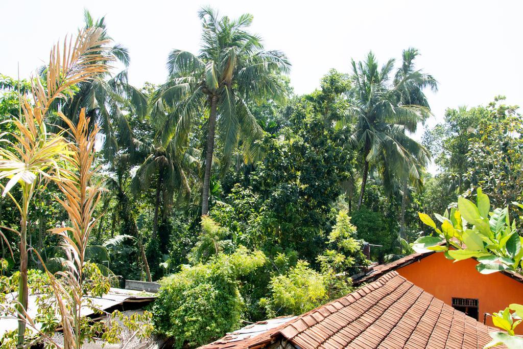 Garden Inn Mirissa Exterior photo